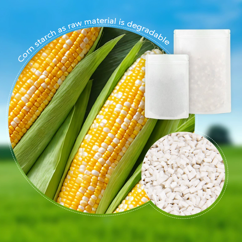 Customized Degradable Kraft Pa - Food Storage In Plants ulasan dan harga