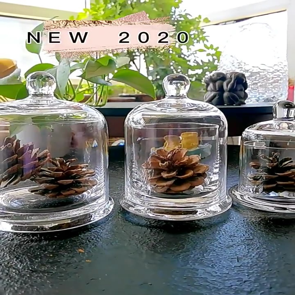 Glass Glass Storage Jar Eterna - Food Storage In Plants ulasan dan harga